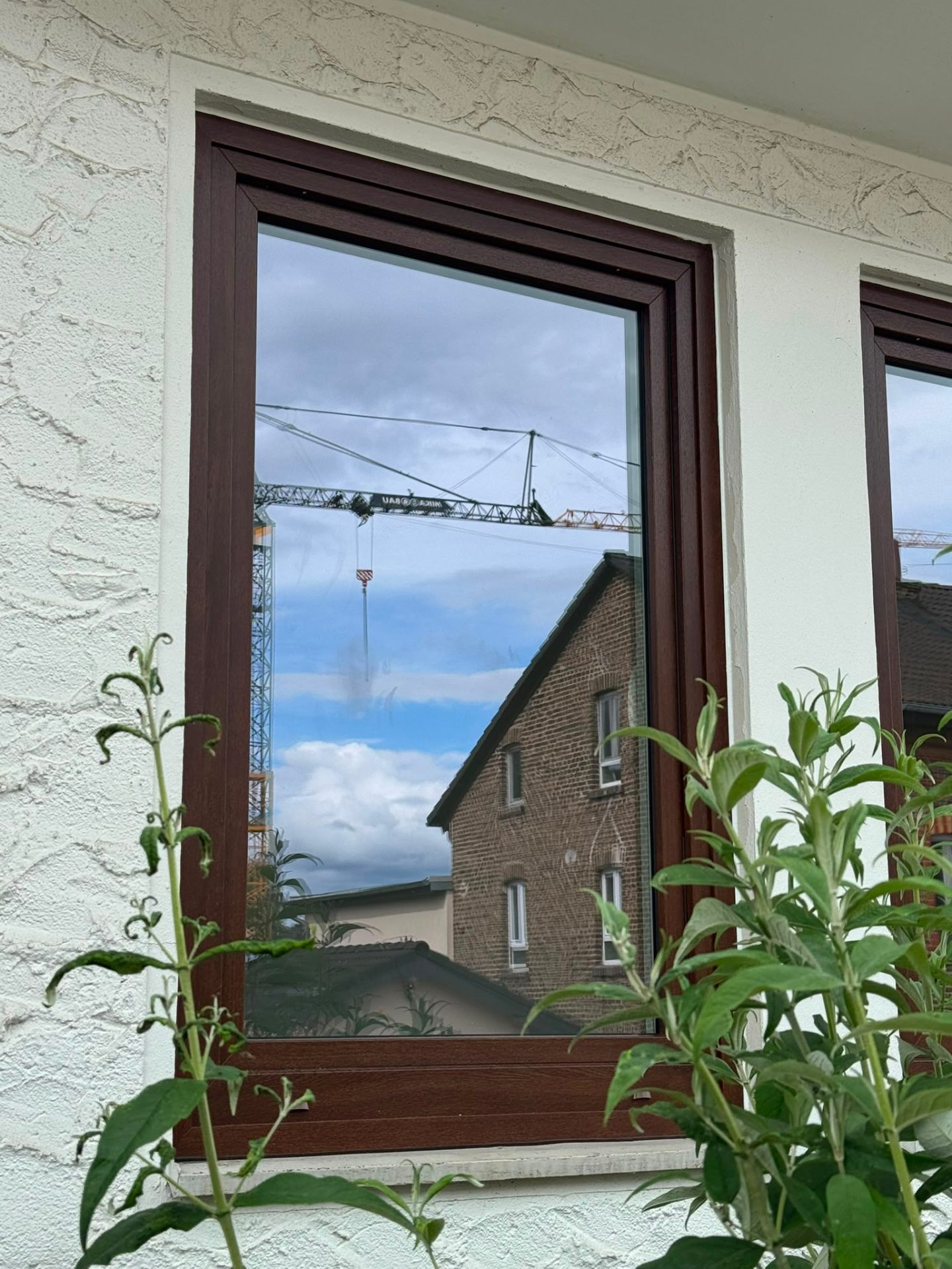 Fenster in Mahagoni-Optik, Detailansicht